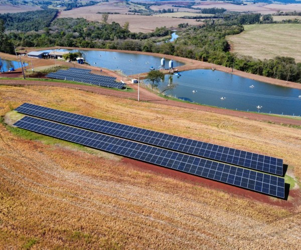 Com inovação e compromisso sustentável, Bionova se destaca entre os líderes do setor de energia limpa no país